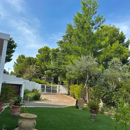 Brezza Sul Colle Casa de hóspedes